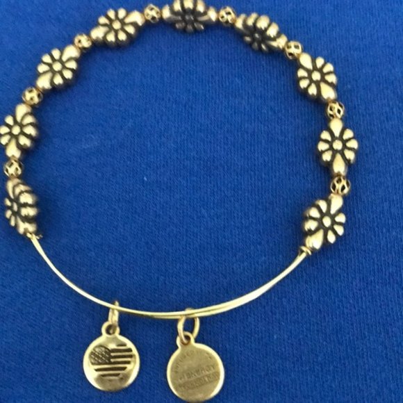 Accessories - Alex and Ani bracelet